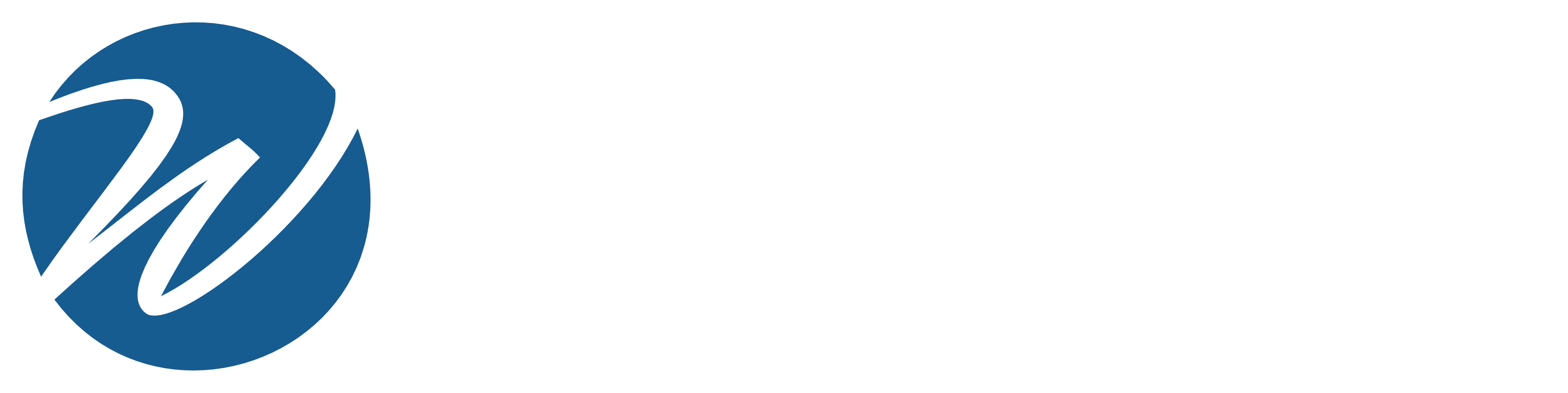 The Write Company